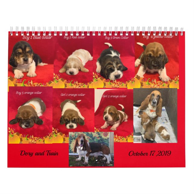 Basset-hundvalpar Kalender (Omslag)