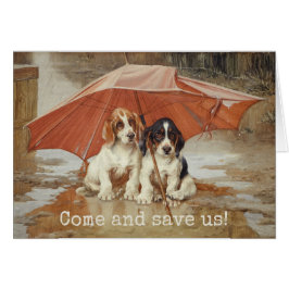 Basset-hundvalpar under paraplytrood OBS kort