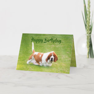 Basset & Lunch On Funny Birthday Card Kort