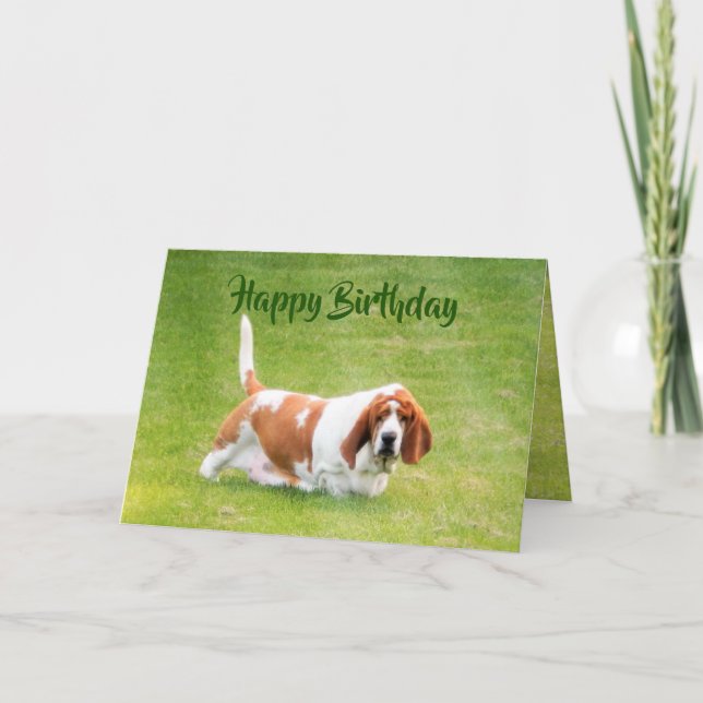 Basset & Lunch On Funny Birthday Card Kort (Framsida)