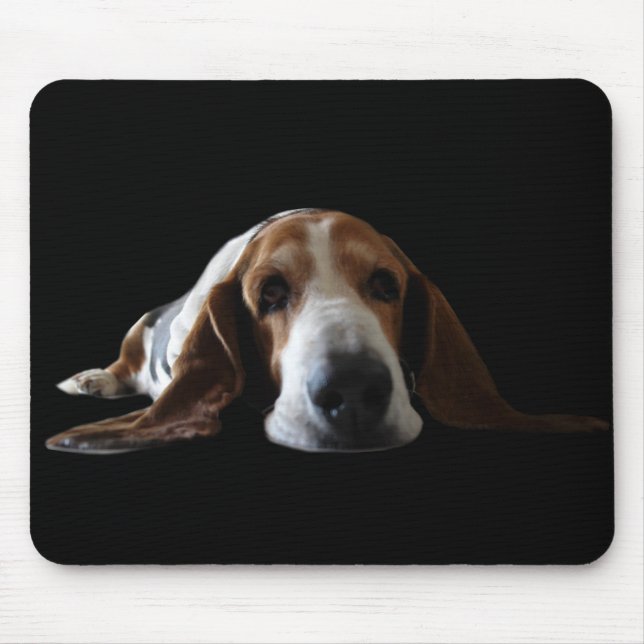 Basset Musmatta (Framsidan)