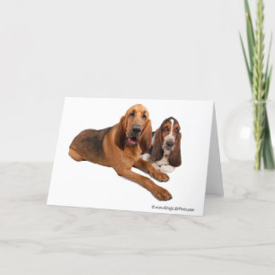 Basset- och spårhundkompisar kort