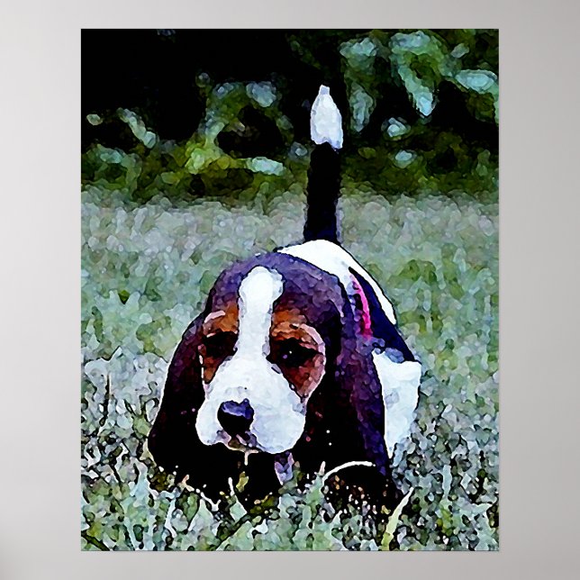 Basset Puppy Walking - Black Brown White Poster (Framsidan)