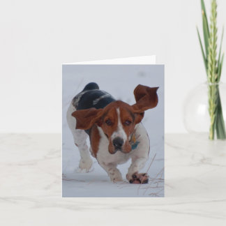 Basseten fastar kort