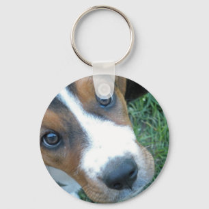 Bassethund 02 nyckelring