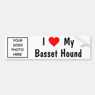 Bassethund Bildekal