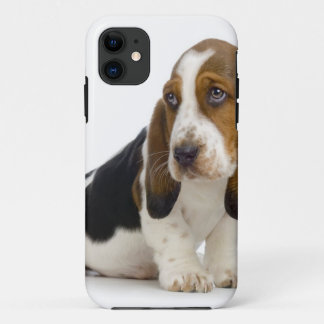 Bassethund