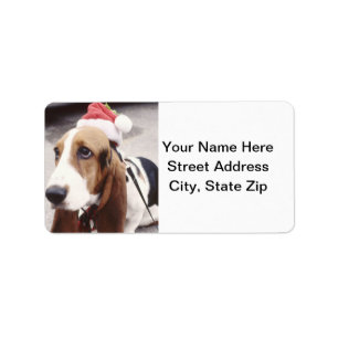 Bassethund i den Santa hatten Adressetikett