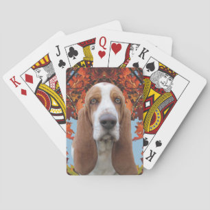 Bassethund i höst casinokort