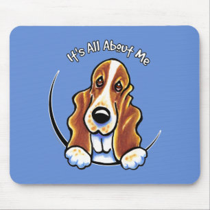 Bassethund IAAM Musmatta