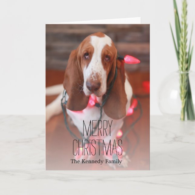 bassethund, jul, julljus helgkort (Framsida)