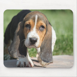 Bassethund Mousepad Musmatta