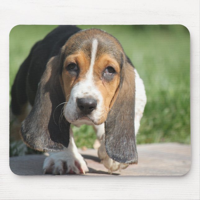 Bassethund Mousepad Musmatta (Framsidan)