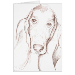bassethund OBS kort