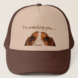 Bassethund som in kikar keps