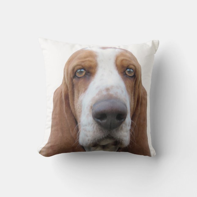 Bassethund som omkring tjuter kudde (Framsida)