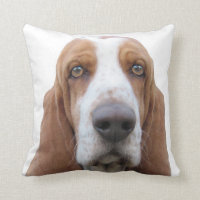 Bassethund som omkring tjuter
