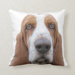 Bassethund som omkring tjuter kudde