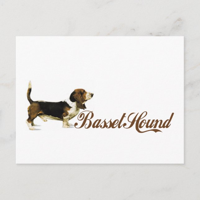 bassethund vykort (Framsida)