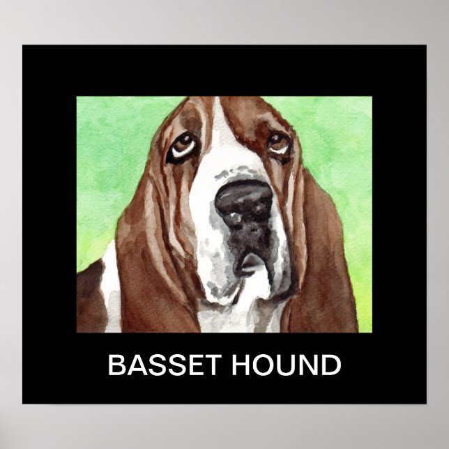 Bassethundaffischer Poster (Framsidan)