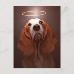 Bassethundängel Vykort