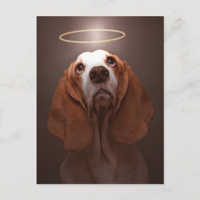 Bassethundängel Vykort (Framsida)