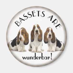 Bassethundar Magnet