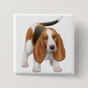 Bassethunden klämmer fast knapp