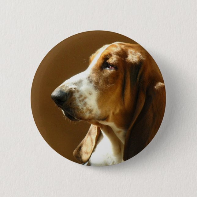 Bassethundfotoet knäppas knapp (Framsida)