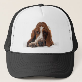 Bassethundhatt Keps