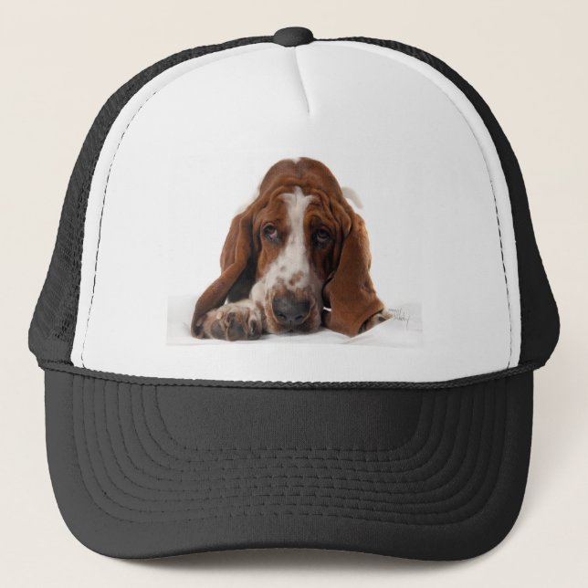Bassethundhatt Keps (Framsida)