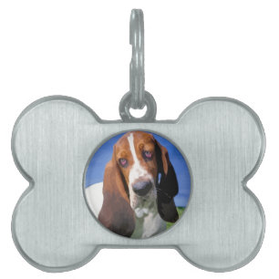 Bassethundhund design ID-bricka husdjur