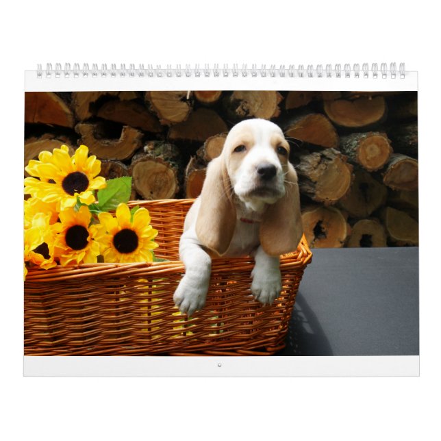 Bassethundkalender Kalender (Omslag)