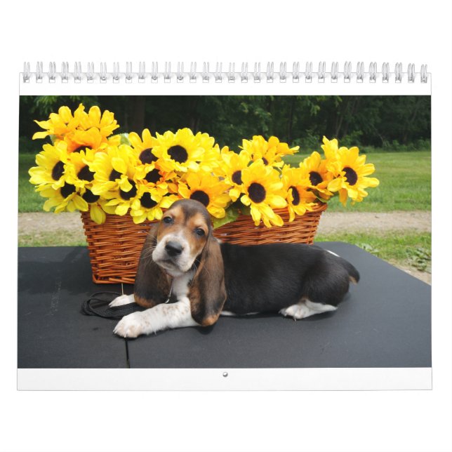 Bassethundkalender Kalender (Omslag)