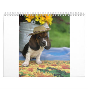Bassethundkalender som presenterar mycket litet E Kalender