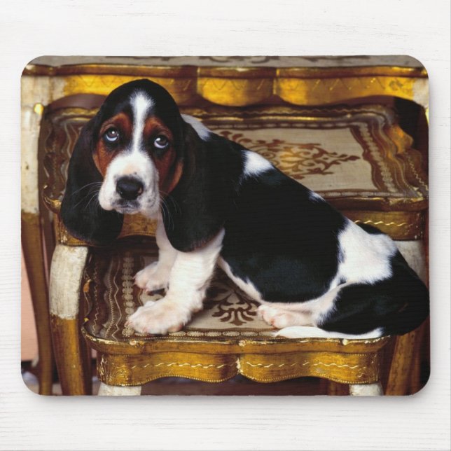 bassethundmusen vadderar musmatta (Framsidan)