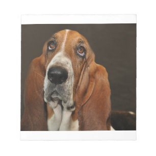 bassett hound 2 anteckningsblock