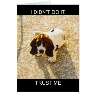 Bassett Hound Cards Hälsningskort