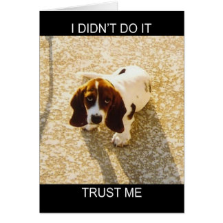 Bassett Hound Cards Hälsningskort