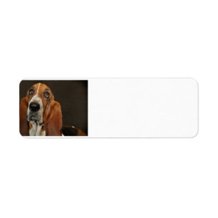bassetthund 2 returadress etikett