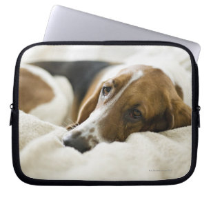 Bassetthund Laptop Fodral