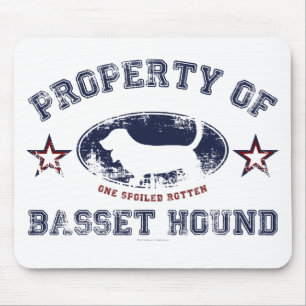 Bassetthund Musmatta