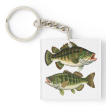 Bassfiske Fiskare och fiskare