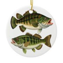 Bassfiske Fiskare och fiskare