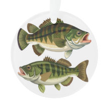Bassfiske Fiskare och Fiskerskor