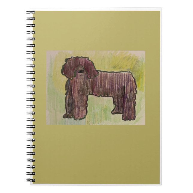 Bassie's anteckningsböcker (Framsidan)