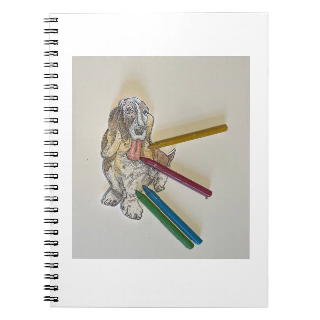 Bassies Note Bokar Anteckningsbok (Framsidan)