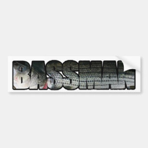 Bassman bildekal