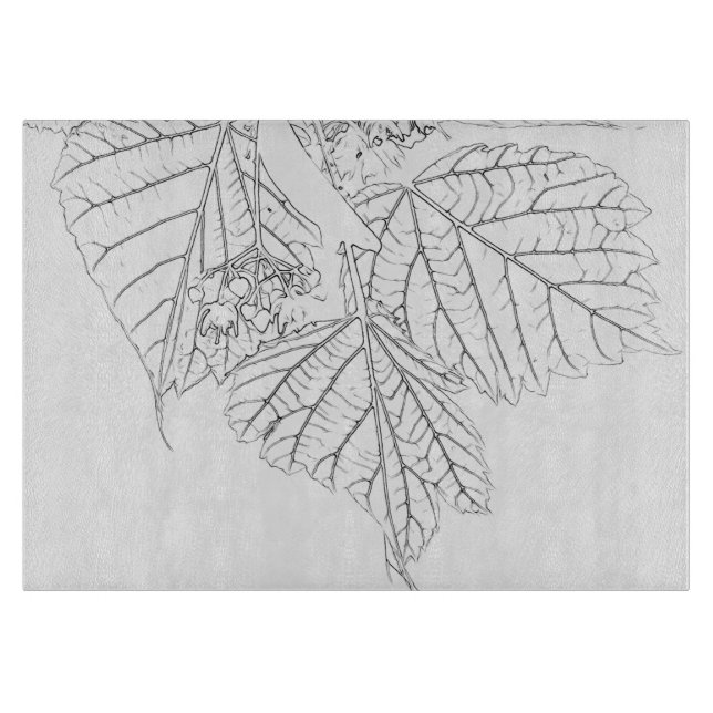 Basswood Lövs (Framsidan)