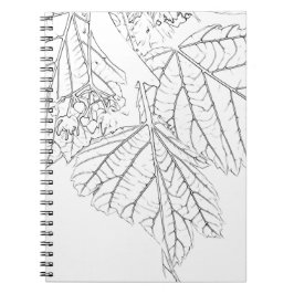 Basswood Lövs Anteckningsbok